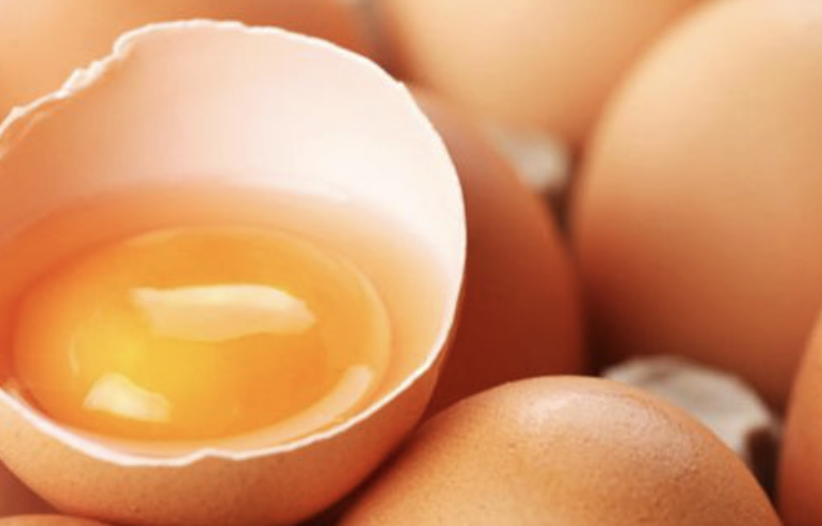 The Egg-cellent Science – ไข่คือกาวของห้องครัว